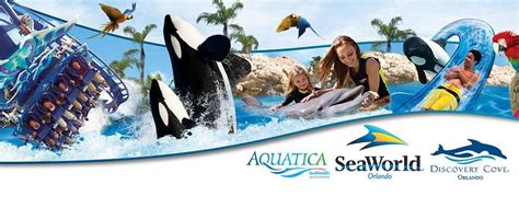 herman vs seaworld check fake|Herman v. SeaWorld Parks & Entertainment, Inc. .